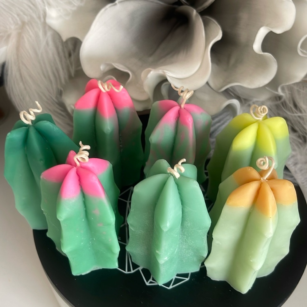 Succulent pillar candles